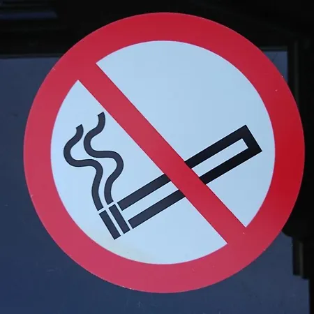 Bed and breakfast Op De Burg 3*